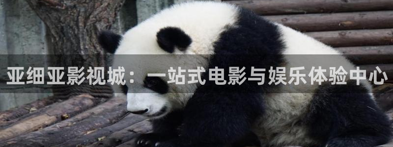 麥田影院官網入口：亞細亞影視城：一站式電影與娛樂體驗中心